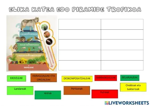 ELIKA KATEA KATE TROFIKOA