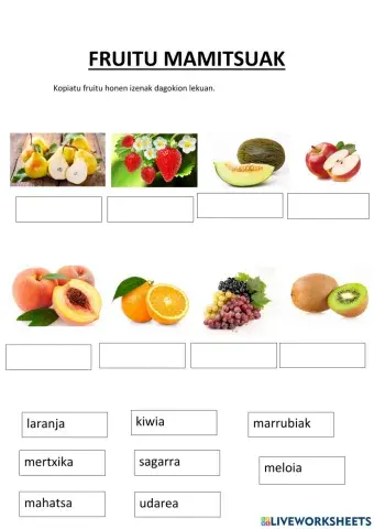 Fruitu lehorrak eta mamitsuak