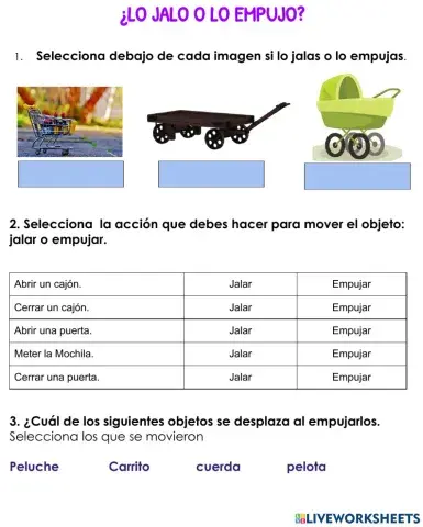 Conocimiento del medio