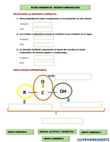 Quimica organica