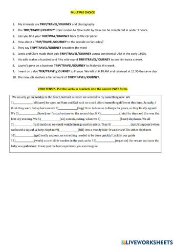 Vocabulary and past tenses