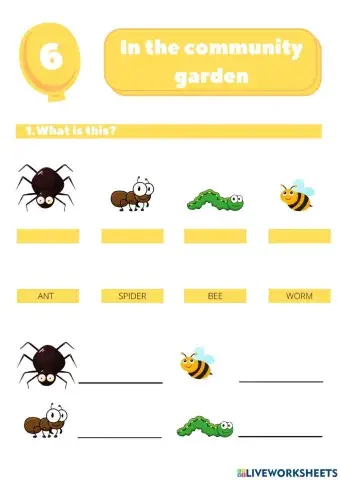 In the community garden (refuerzo)