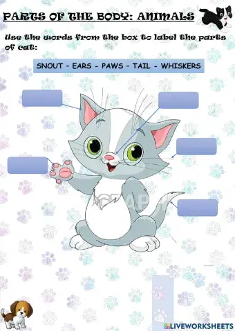 Parts of the body animals