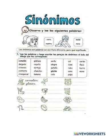 Sinonimos