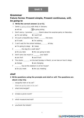 Travelling. Future Tenses