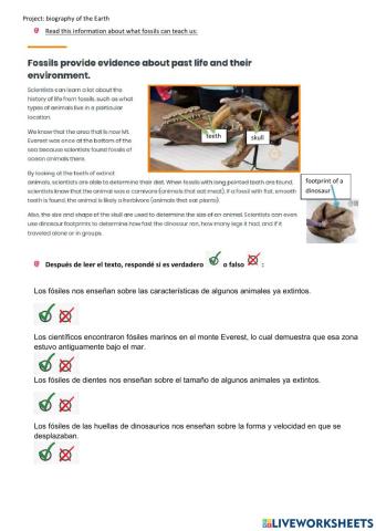 Fossil record reading