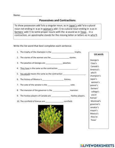 possessives and contractions 