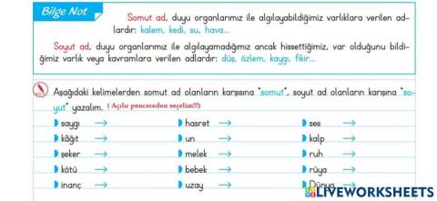 Somut-Soyut Kavramı