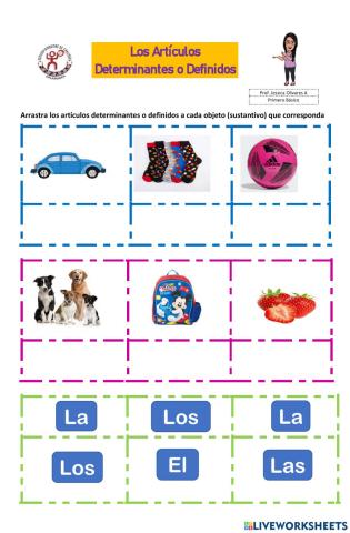 Los articulos determinantes o definidos