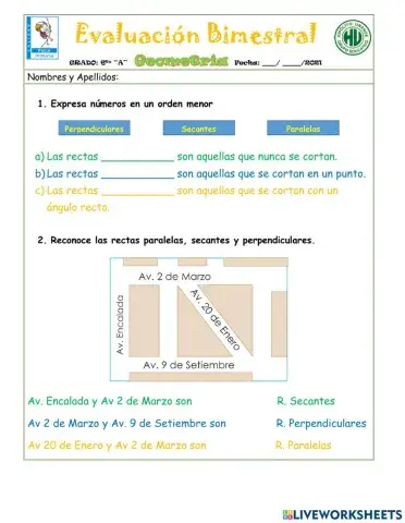 Examen Bimestral Primaria Geometría 6to