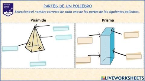 Partes de un poliedro