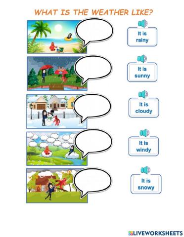 What is the weather like?