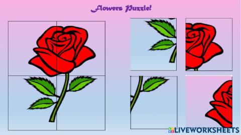 Flower Puzzles