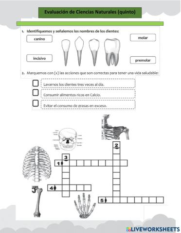 Evaluación de Ciencias Naturales