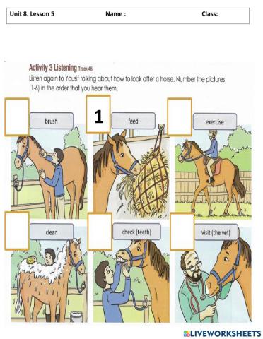 Looking after animals