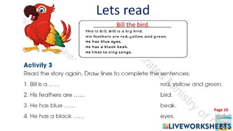 Bill the bird