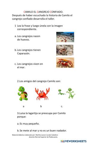 Comprensión de lectura