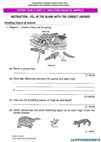 Breathing Organs Of Animals (Set 4)