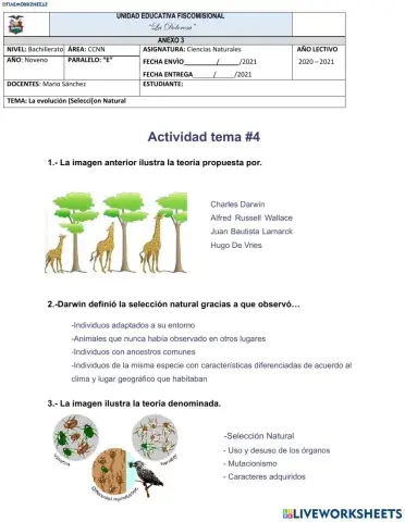 La evolución )Selección Natural