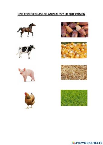 Animales granja