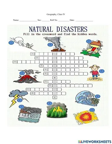 Natural Disasters