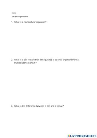 2.10 Cell Organization