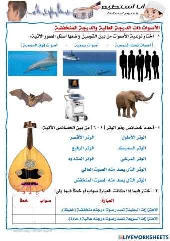 الأصوات ذات الدرجة العالية والدرجة المنخفضة