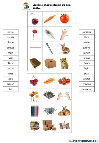 Orth : Singulier - Pluriel