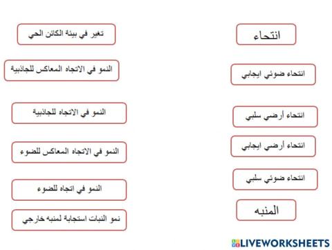 التحكم و الاستجابة في النبات