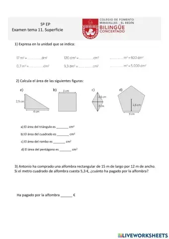 Examen5.Tema11.Superficie