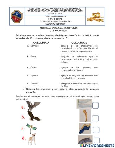 Actividad Taxonomía