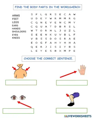 This that these those