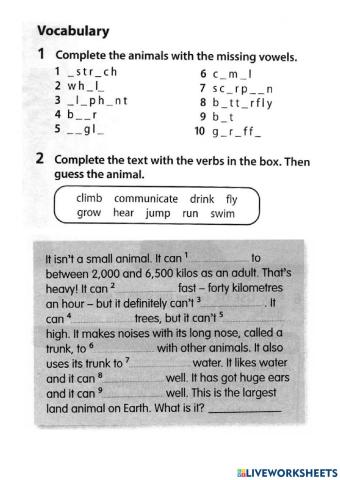 Review 1 year 5 page 40