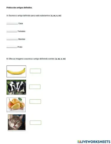 Os artigos indefinidos e definidos.