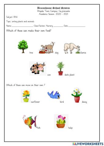 Sorting plants and animals