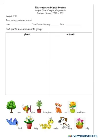 Sorting plants and animals