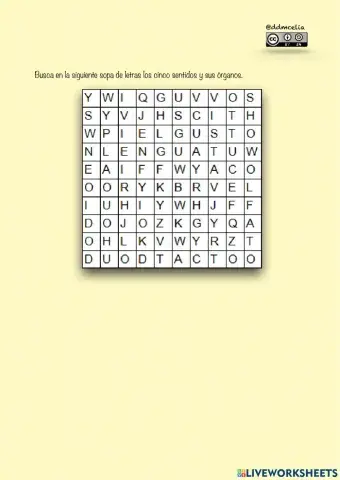 Los sentidos y sus órganos