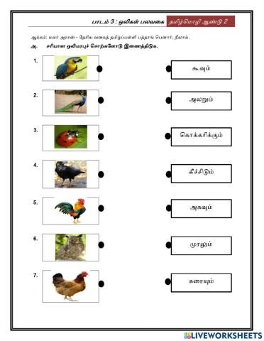 ஒலி மரபுச் சொற்கள்