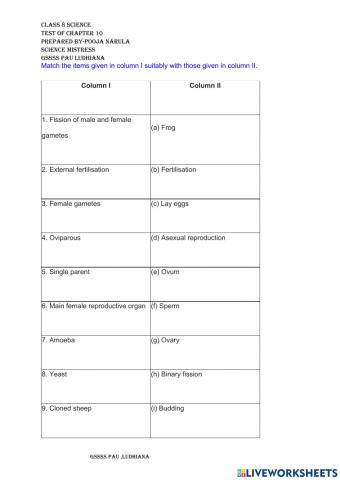 Reproduction in animals