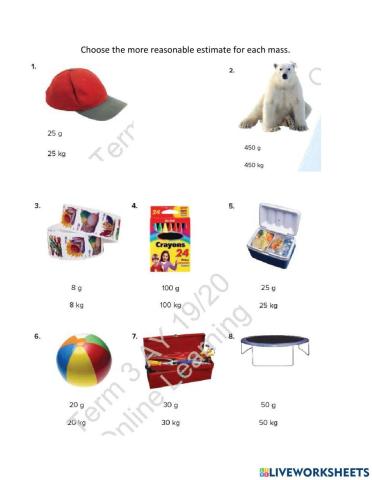 Metric Units of Mass