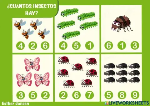 ¿Cuántos insectos hay?