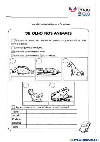 Os animais