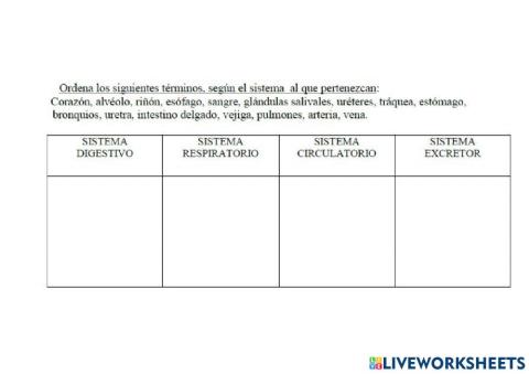 Sistemas que intervienen en la nutrición humana