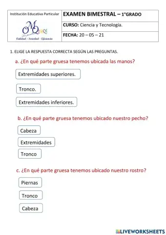 Examen bimestral