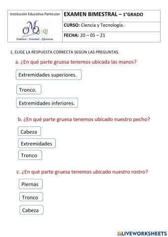 Examen bimestral