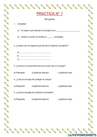 Sistema respiratorio y circulatorio