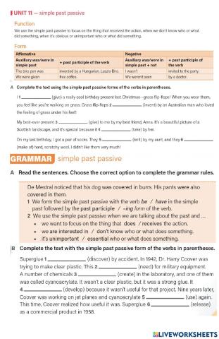 Grammar simple past passive