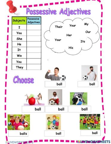 Possessive Adjectives