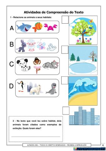 Atividades sobres animais