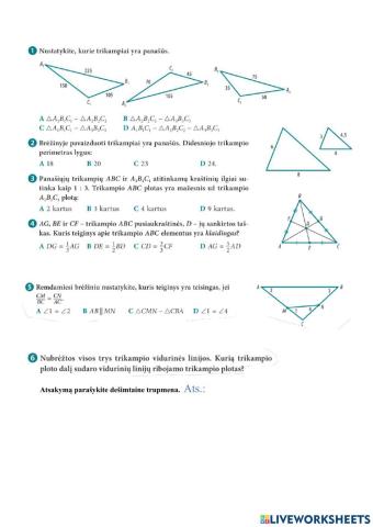 Pamašieji trikampiai